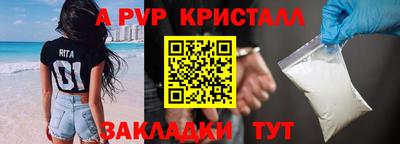 mdpv Кингисепп