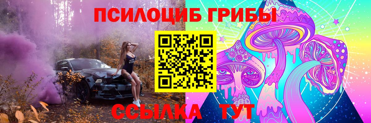 Галлюциногенные грибы Psilocybine cubensis Кропоткин